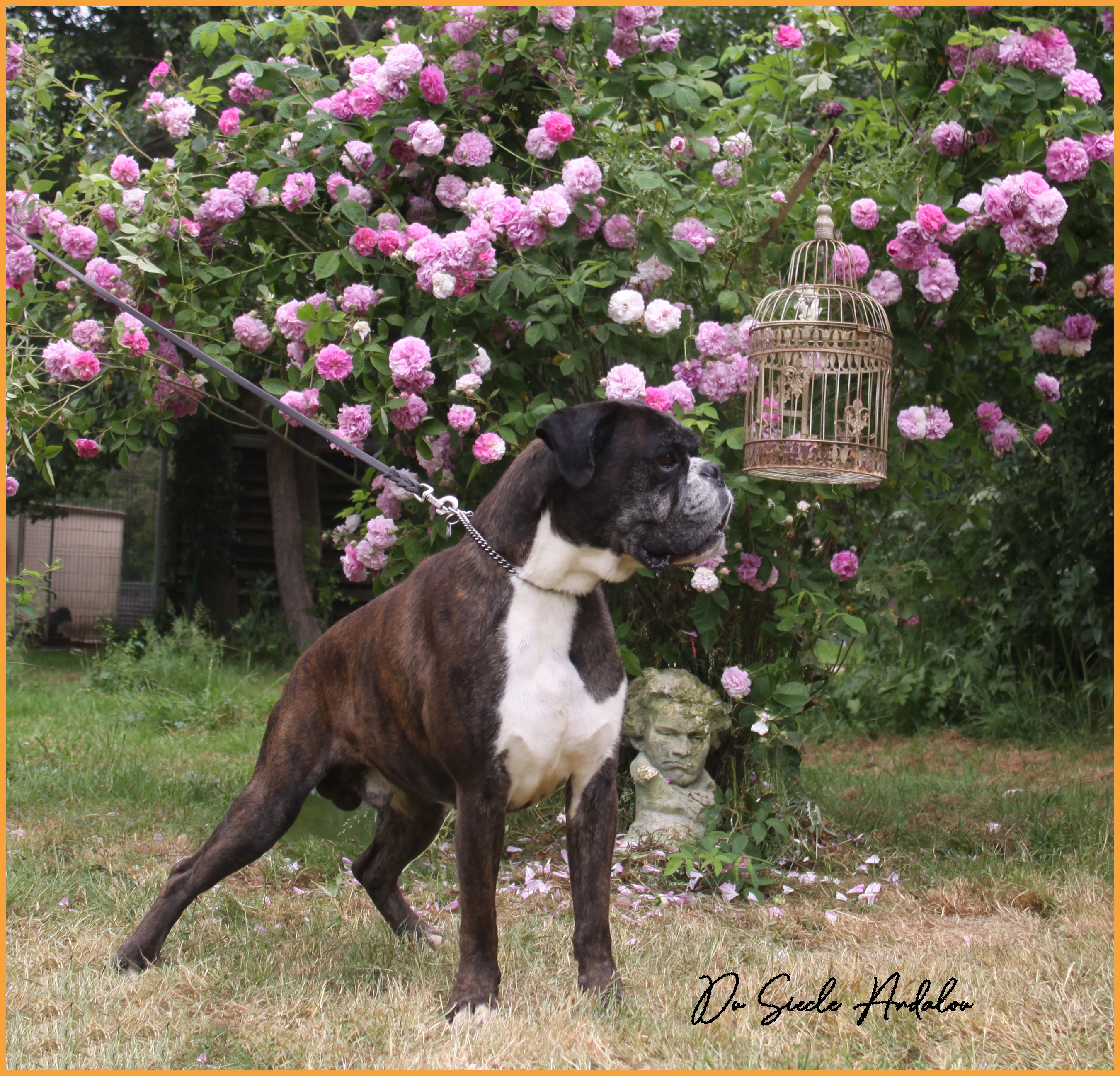 Jerico 21 Mai 2022