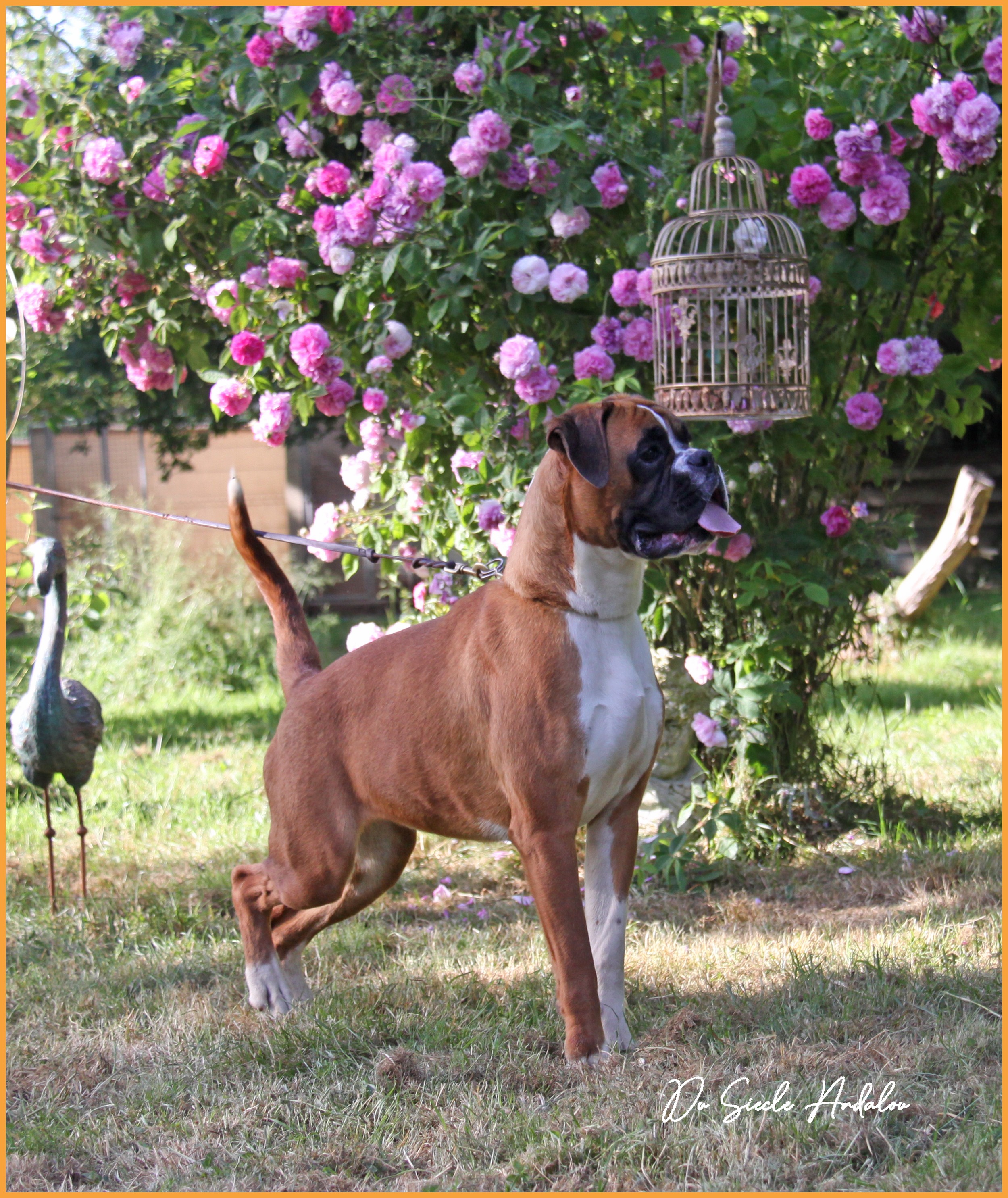Sharon 21 Mai 2022